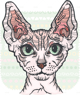 Whimsical Cat Portrait with Big Ears PNG