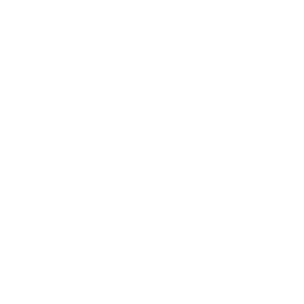 Unique Markets at Santa Monica Pier PNG