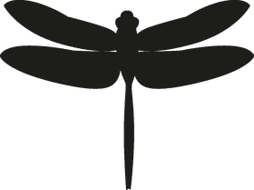 Elegant Insect The Dragonfly of Nature PNG