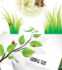 Green natural background with flower vector graphics