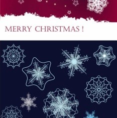 Beautiful snowflake background vector set