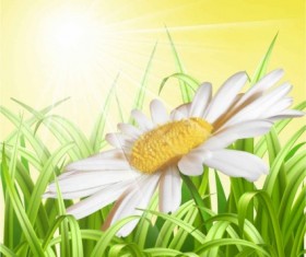 White flower with grass art background vector
