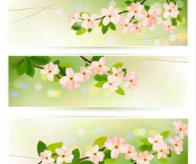 Flower green banners vectors