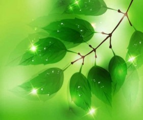 Nature background with fresh green leaves vectors
