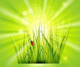 Grass with sunlight green background shiny vector