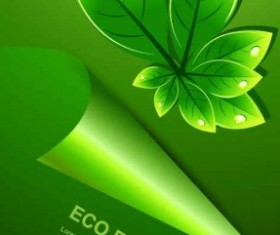 Green leaves with water drop eco background 02