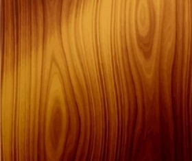 Shiny Wood background set vector