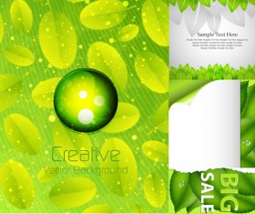 Fresh green element background shiny vector