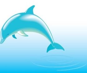 Free Dolphin vectors material