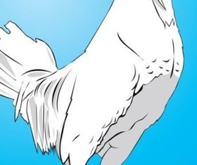 Chicken vector graphic
