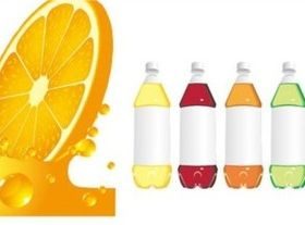 Orange juice and beverage bottle vector