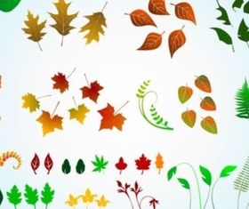 Vector Leaves Graphics vectors material