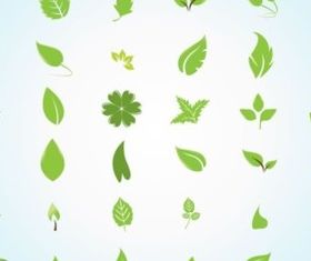 Garden Leaves design vectors