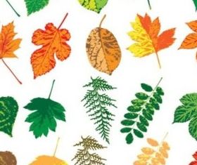Different colorful leaves set vector