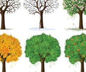 Trees different seasons vectors