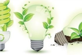 Green leaves and bulbs shine vector graphics