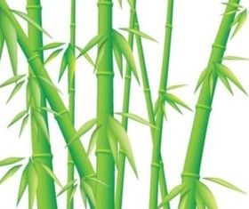 shiny Bamboo design vector