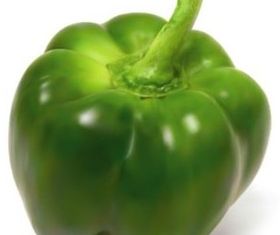 green bell pepper design vectors