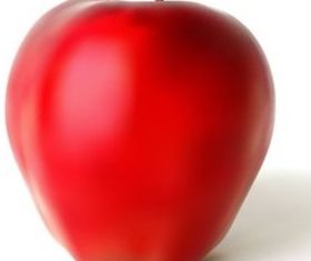 Shiny red apple vector