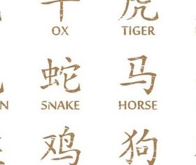 Chinese Zodiac Symbols design vector