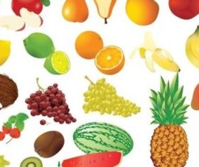 Fruit and fruit frames vector