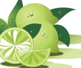 Green lemon design vectors