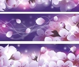 Romantic cherry blossoms banner background vector