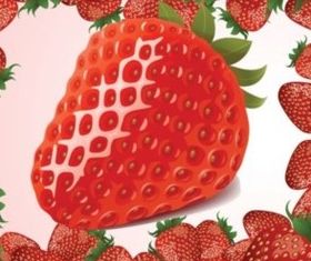 Fresh strawberry vector