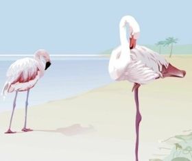 Flamingo vector