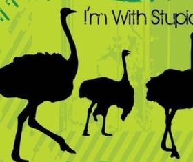 Ostrich vector