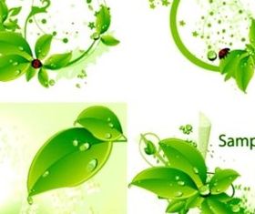 Fresh green leaves and ladybirds background vector