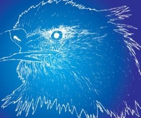 Eagle Sketch set vector
