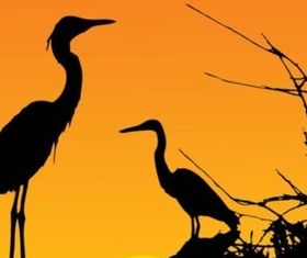 Herons design set vector