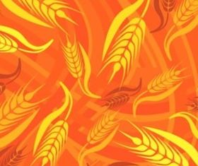 Bright golden wheat background vectors graphic