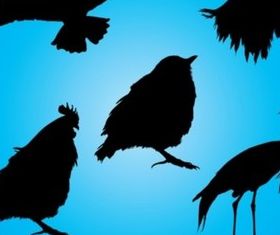 Birds Silhouettes vector