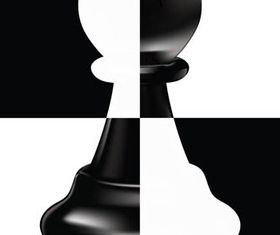 Chess elements Backgrounds vector