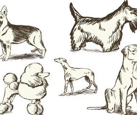 Different Vintage Dogs art set vector