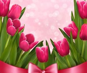 Floral Backgrounds 12 vector