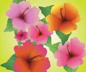 Hibiscus Vectors background
