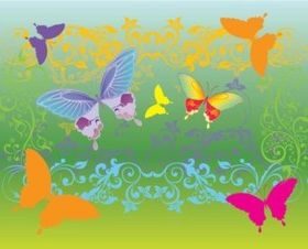 Summer Season vector