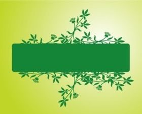 Flower Frame background vector