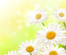 Floral Backgrounds 11 creative vector