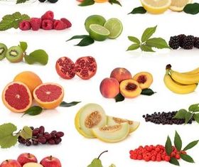 Fruit with green leaves Vector design