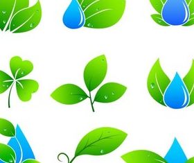 Stylish Natural Logotypes vector design