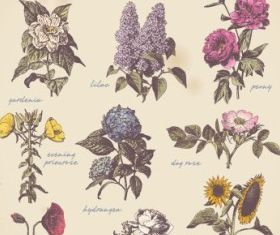 Retro flower plant legend vector