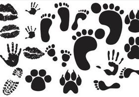 Traces graphic Illustration vector