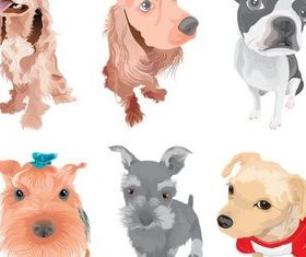 Different Pedigree Dogs vector graphic