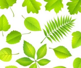 Bright leaves design vector material