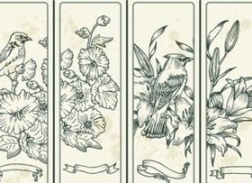 Line drawing and illustration design vector