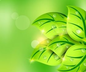 Fresh green leaves vectors graphics